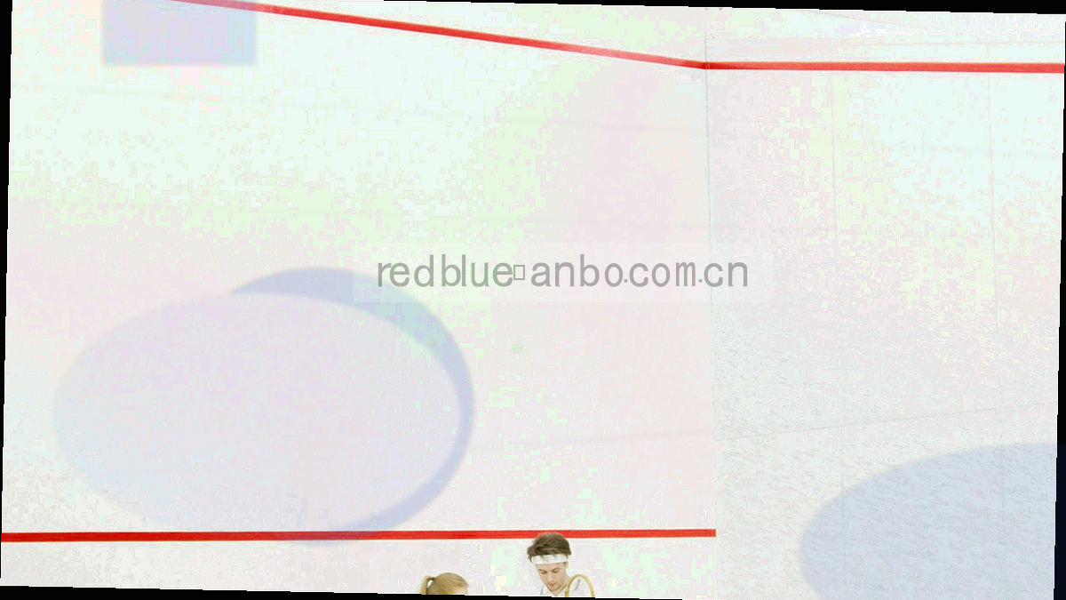 深底上的折线走势与刻度网格示意图，用于呈现胜率变化查询的读图方式